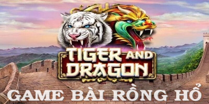 rồng hổ